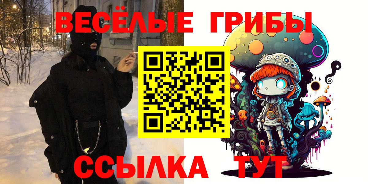 Галлюциногенные грибы MAGIC MUSHROOMS  Вход с VPN  Баксан  Псилоцибиновые грибы Psilocybe 